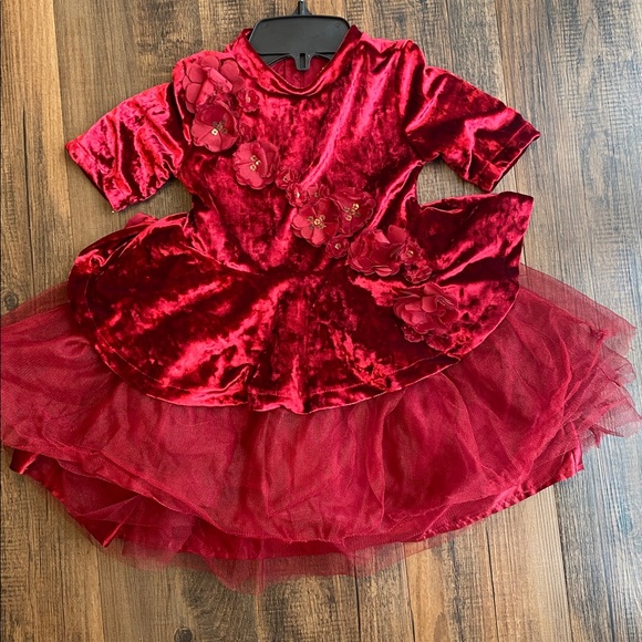Disney belle Princess burgundy Velvet Dress - Picture 11 of 16